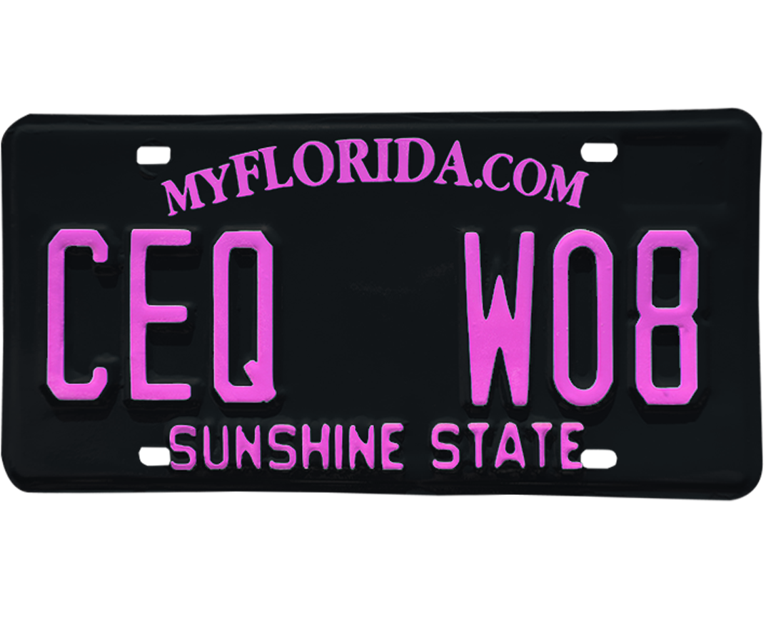 Florida License Plate Wrap Kit