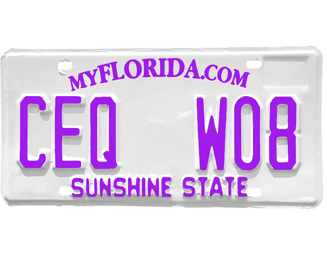 Florida License Plate Wrap Kit PlateWraps