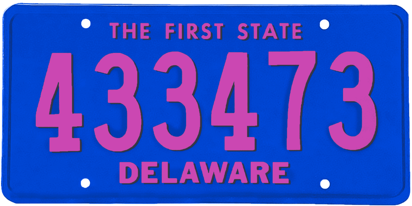 Delaware License Plate Wrap Kit