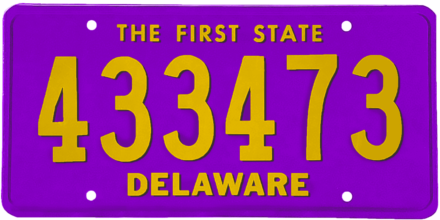 Delaware License Plate Wrap Kit