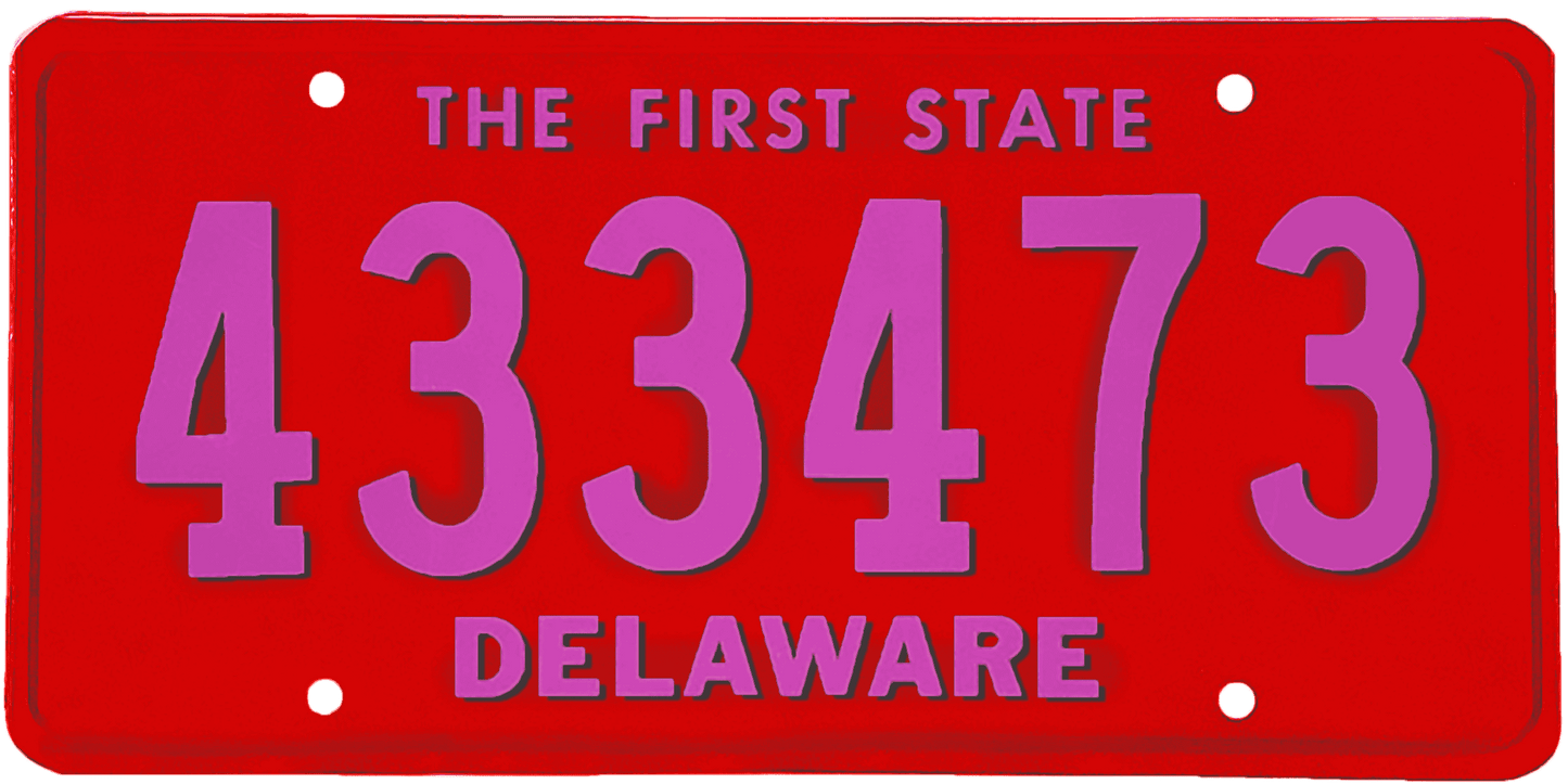 Delaware License Plate Wrap Kit