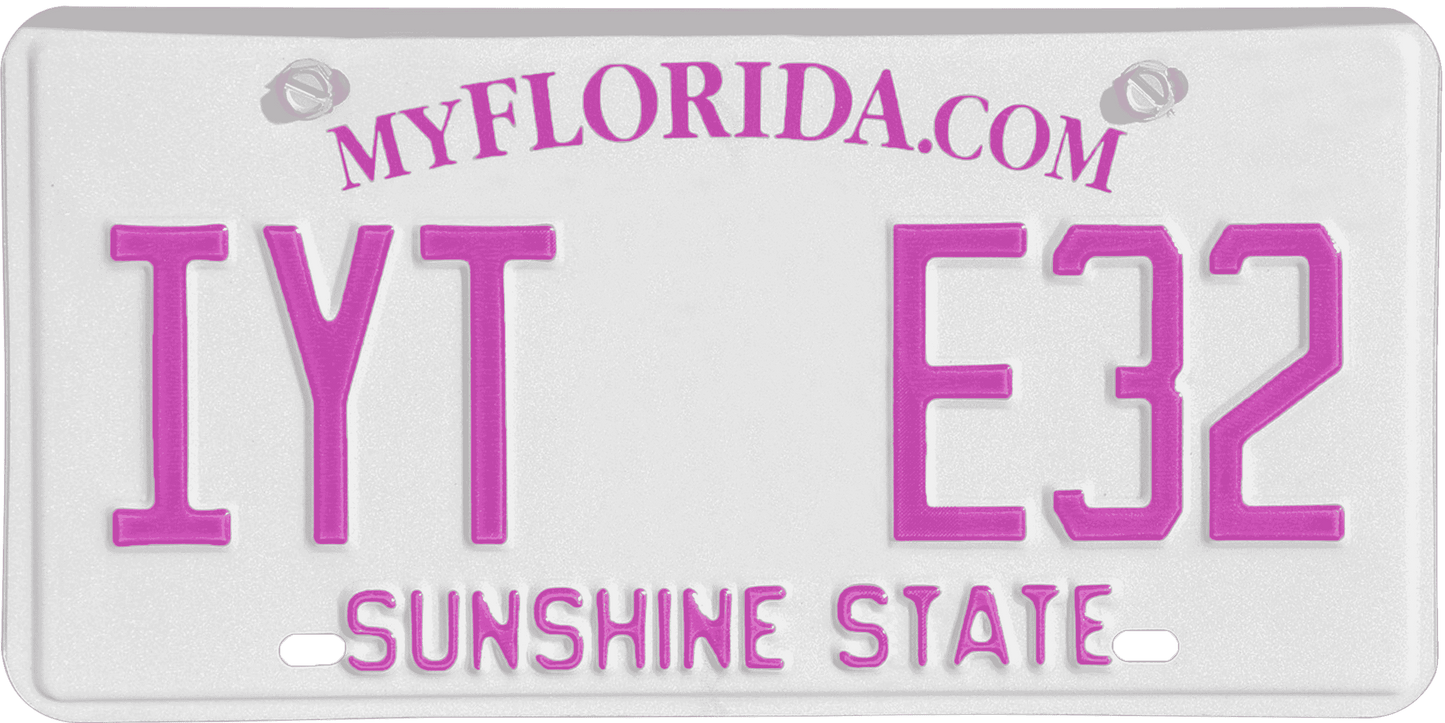 Florida License Plate Wrap Kit