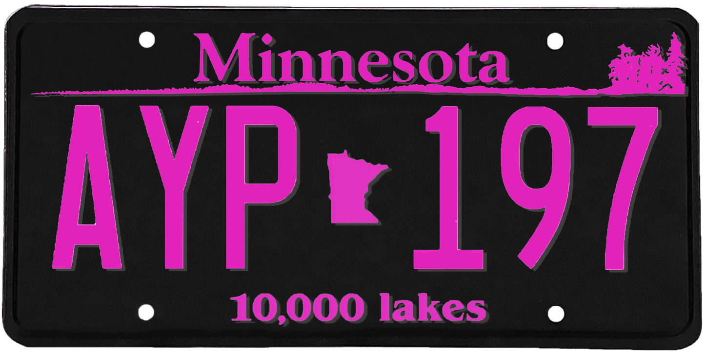 Minnesota License Plate Wrap Kit