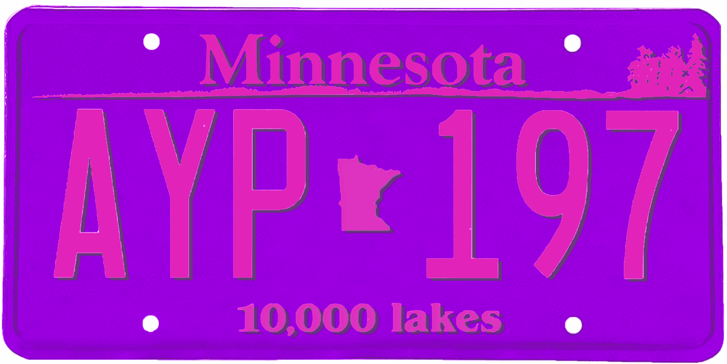 Minnesota License Plate Wrap Kit