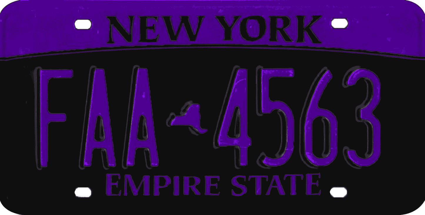 New York License Plate Wrap Kit | Empire State