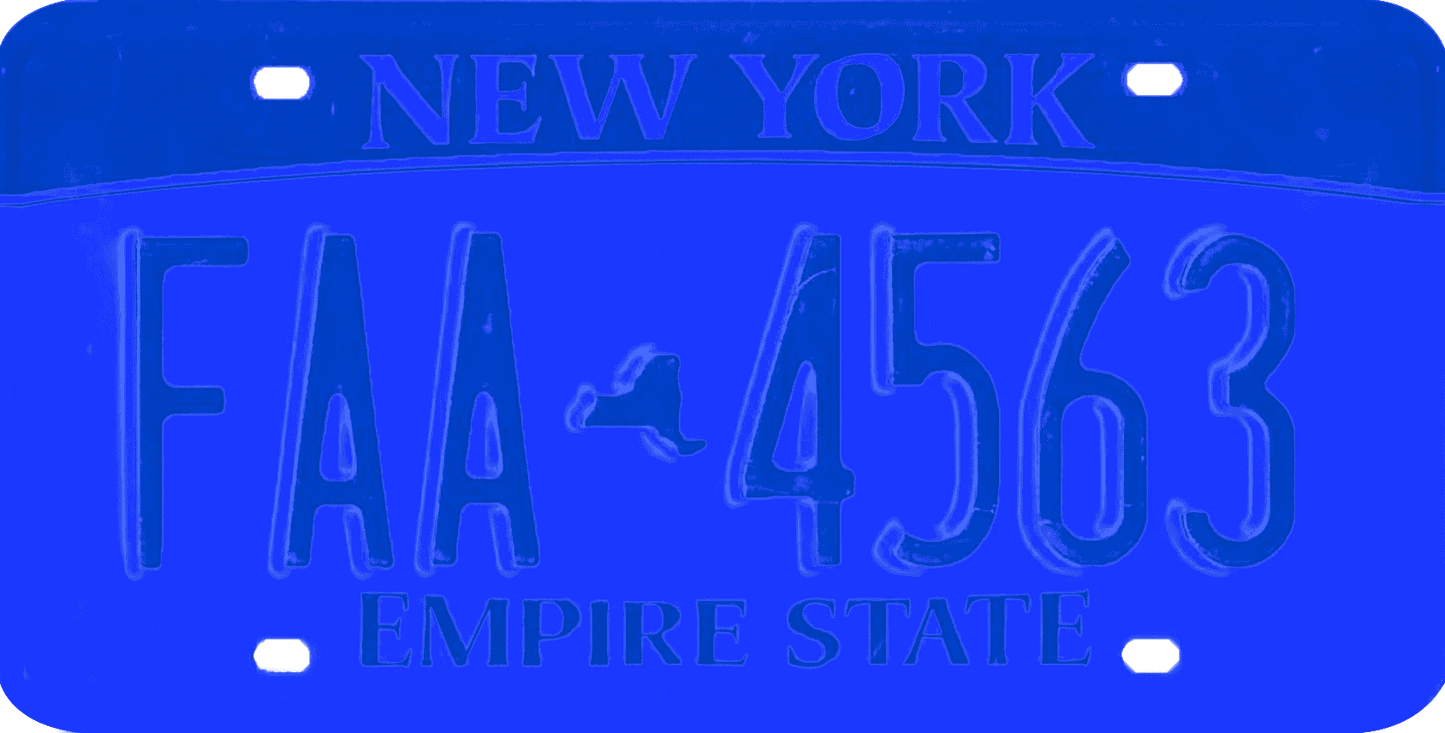 New York License Plate Wrap Kit | Empire State