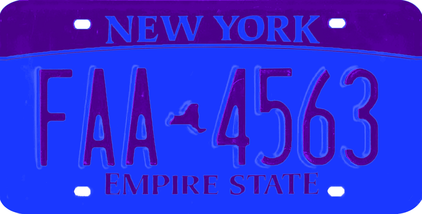 New York License Plate Wrap Kit | Empire State