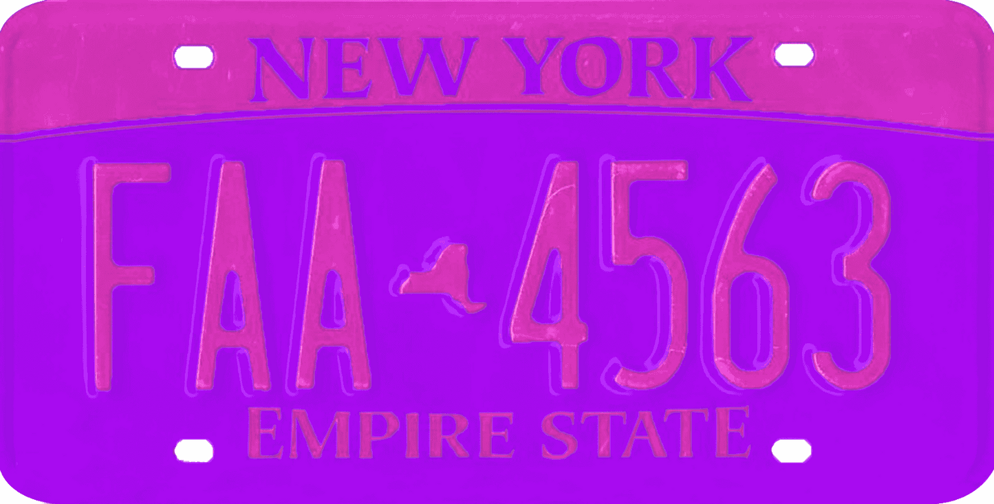 New York License Plate Wrap Kit | Empire State