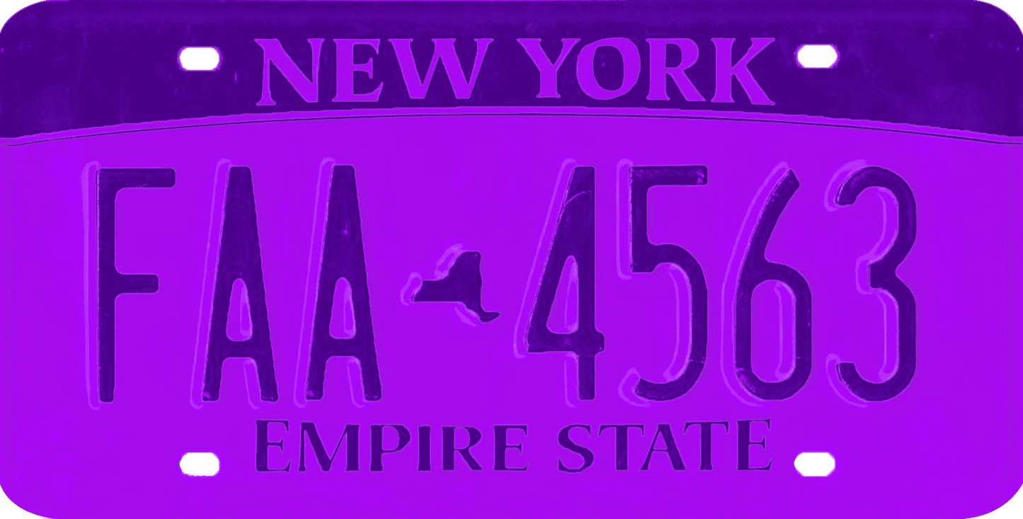 New York License Plate Wrap Kit | Empire State