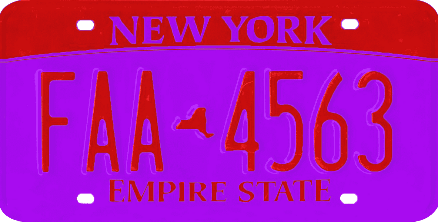 New York License Plate Wrap Kit | Empire State