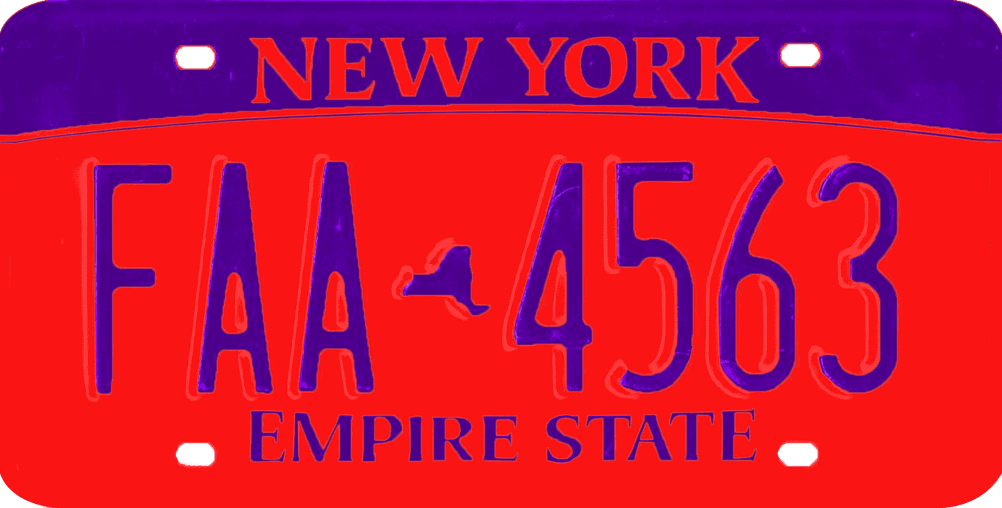 New York License Plate Wrap Kit | Empire State