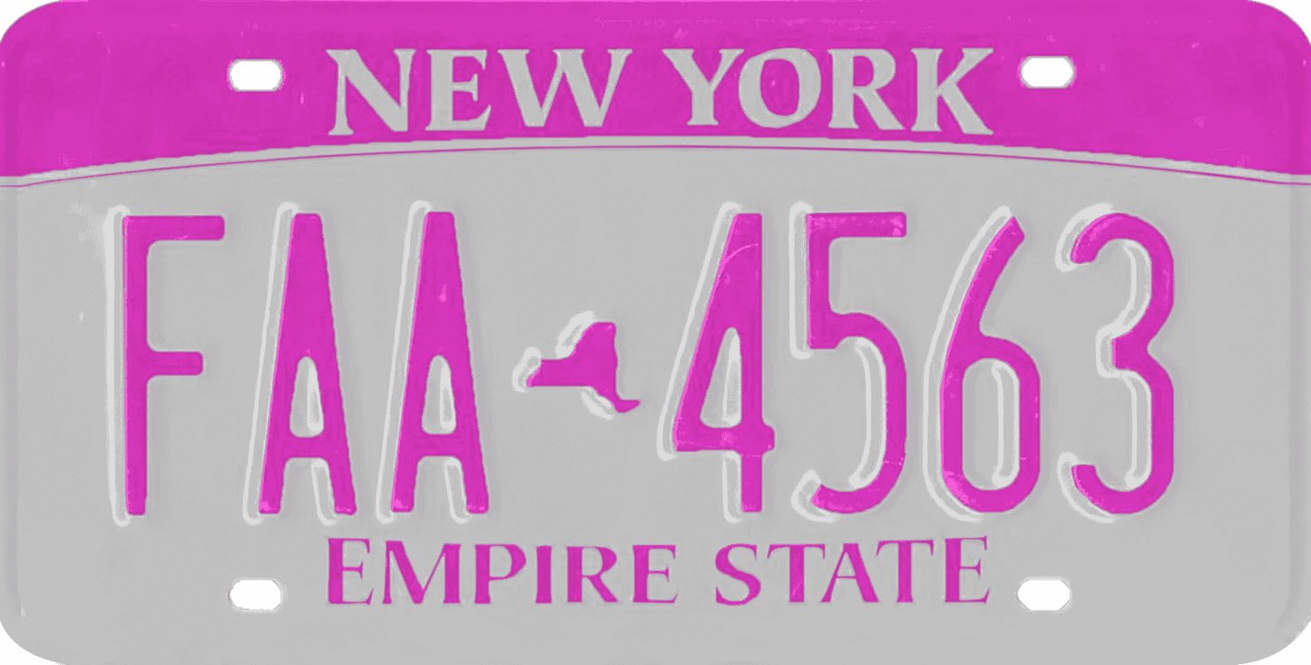 New York License Plate Wrap Kit | Empire State