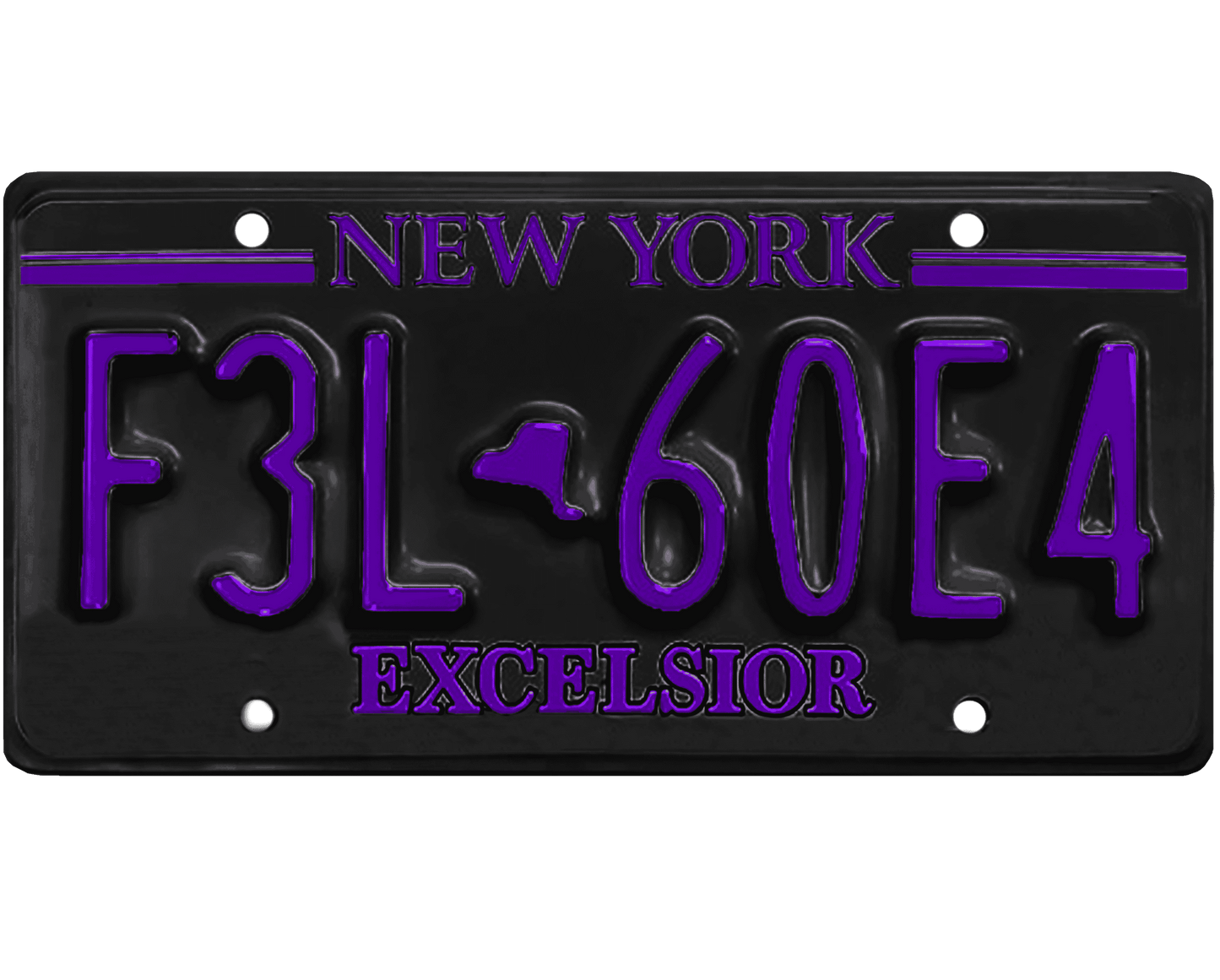 New York License Plate Wrap Kit | Excelsior