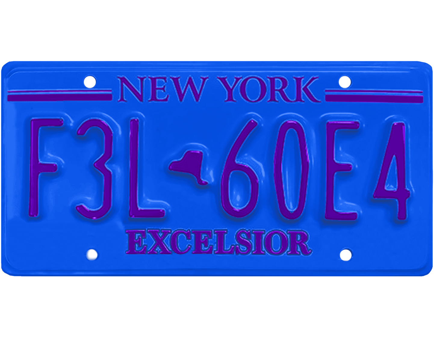 New York License Plate Wrap Kit | Excelsior