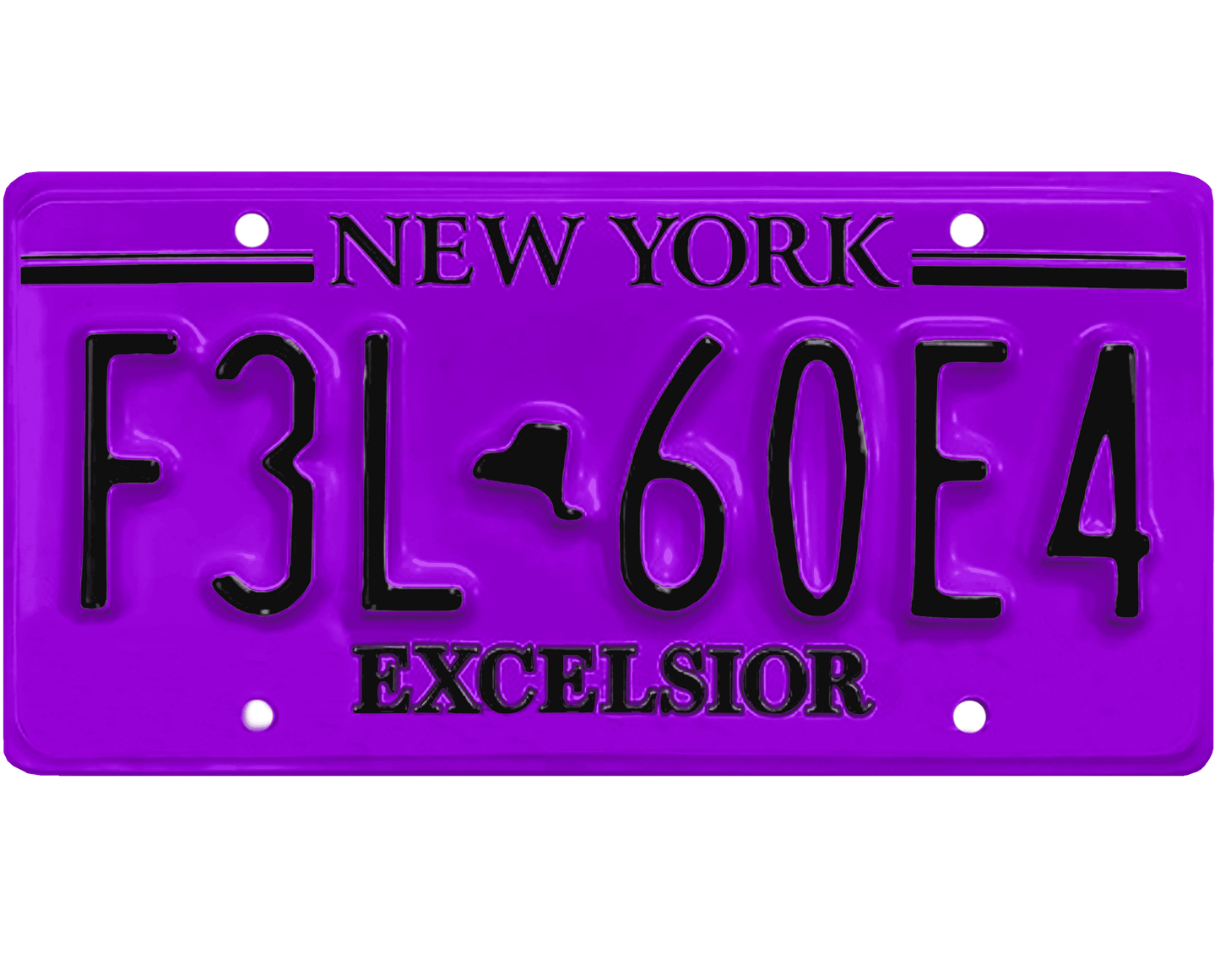 New York License Plate Wrap Kit | Excelsior