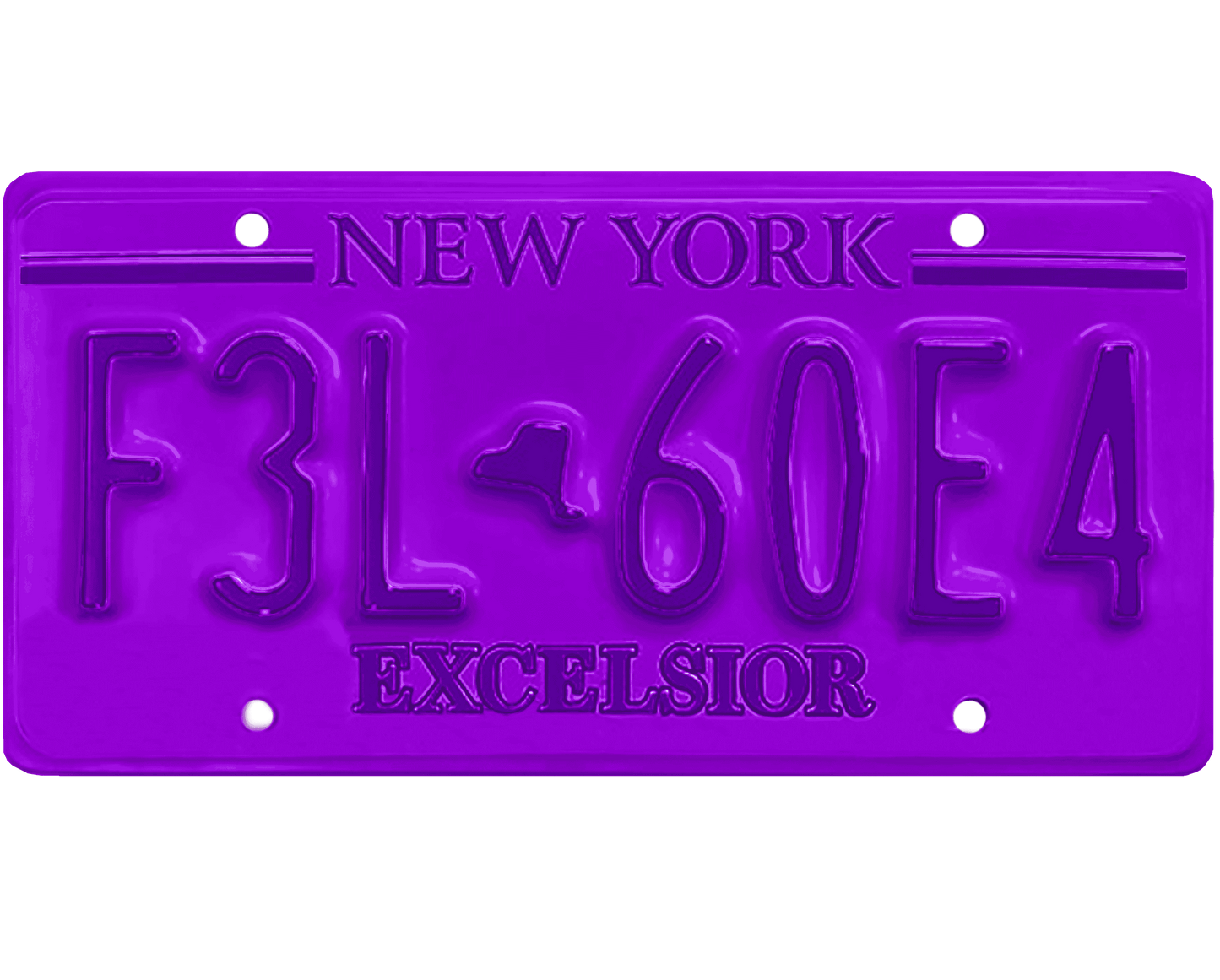 New York License Plate Wrap Kit | Excelsior