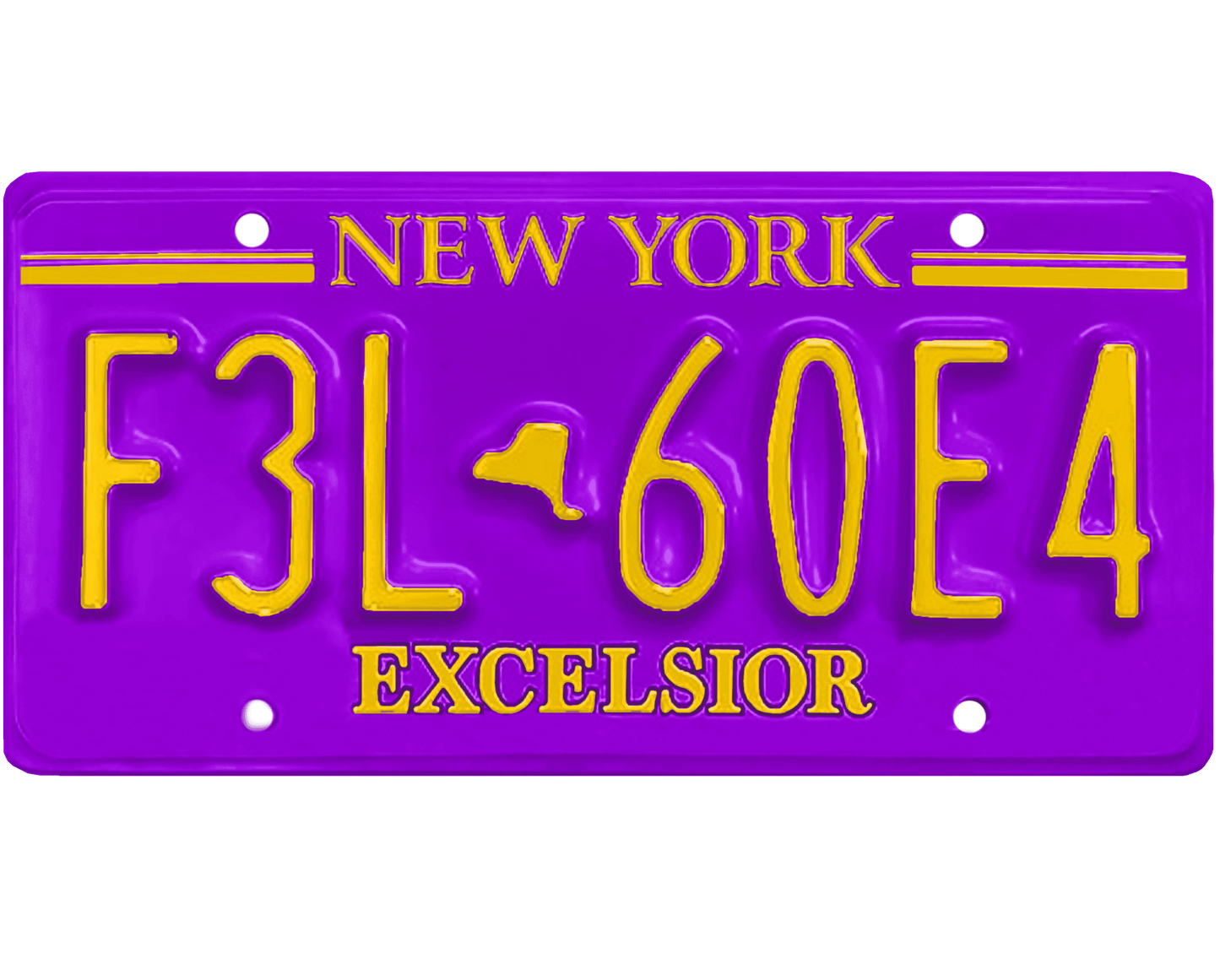 New York License Plate Wrap Kit | Excelsior