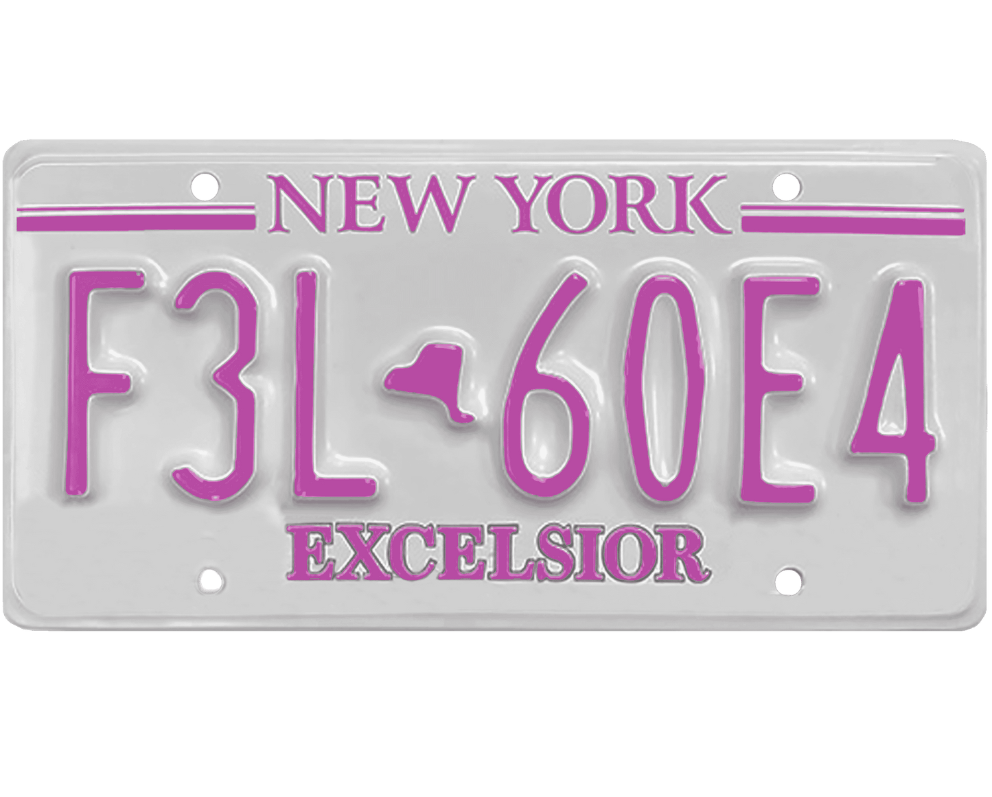 New York License Plate Wrap Kit | Excelsior