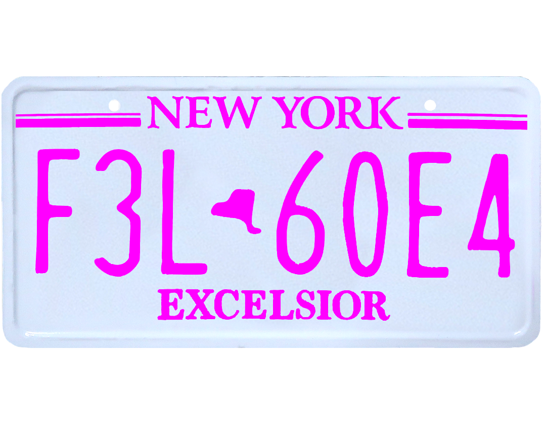 New York DMV  Excelsior plates