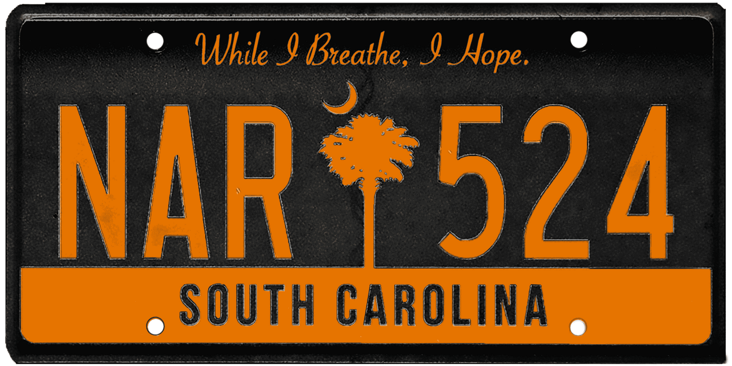 South Carolina License Plate Wrap Kit