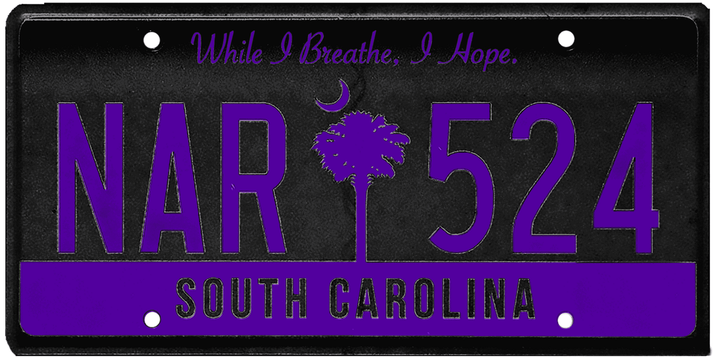 South Carolina License Plate Wrap Kit