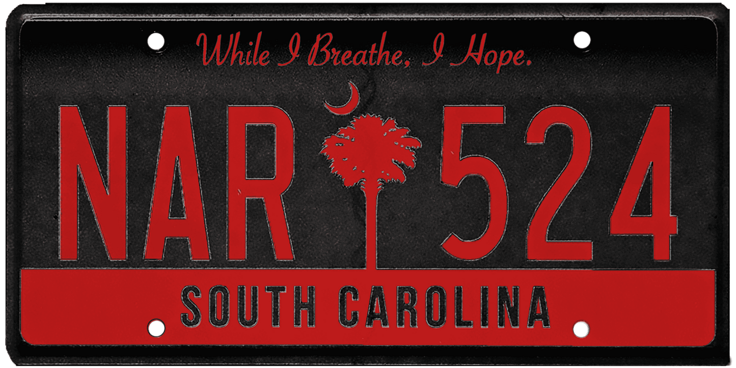 South Carolina License Plate Wrap Kit