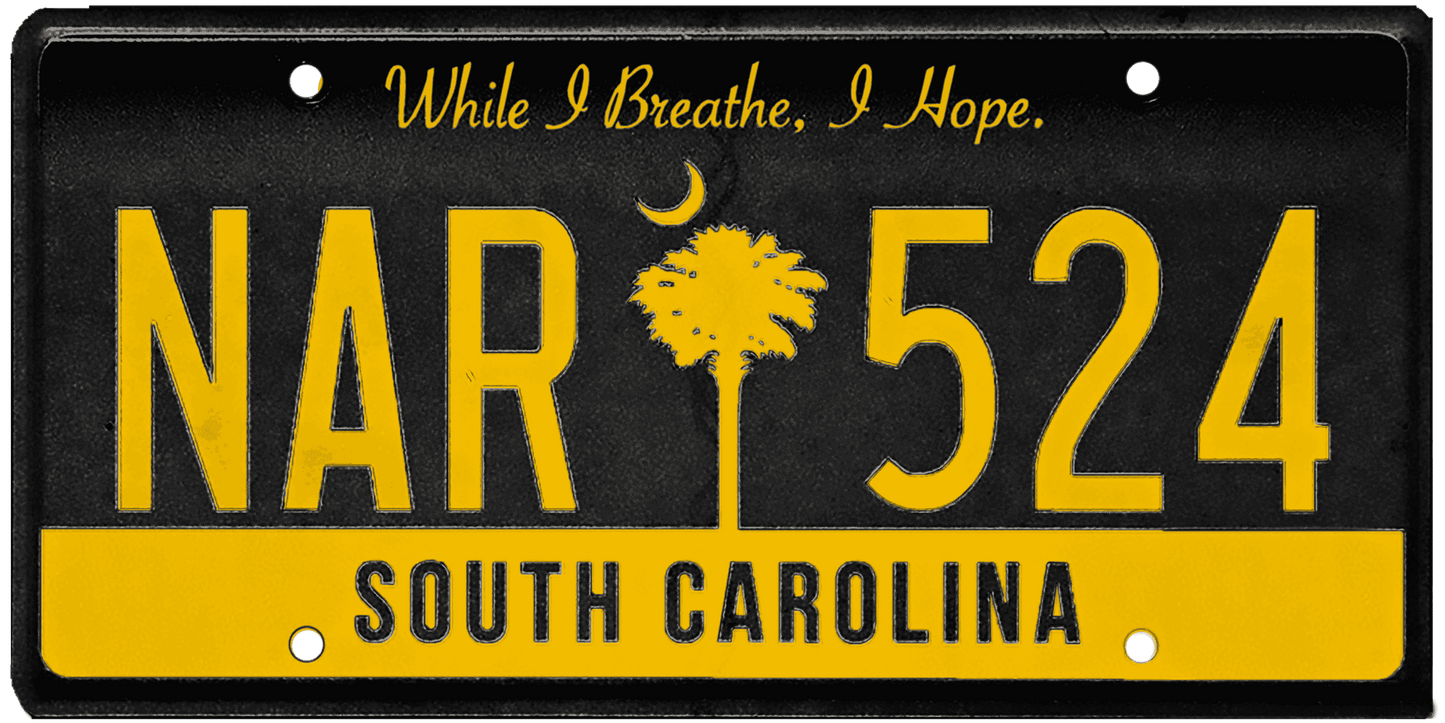 South Carolina License Plate Wrap Kit