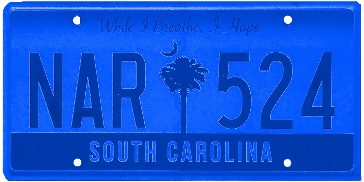 South Carolina License Plate Wrap Kit