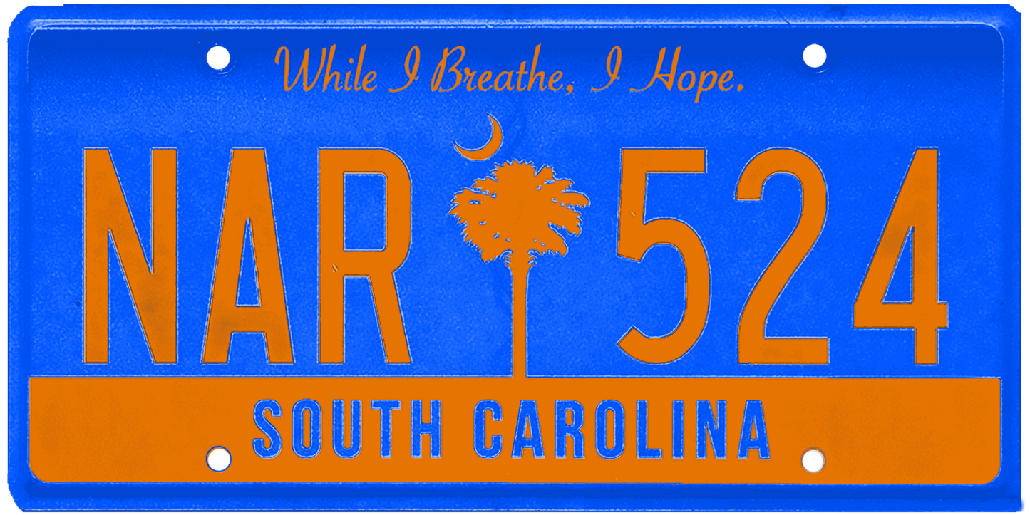 South Carolina License Plate Wrap Kit