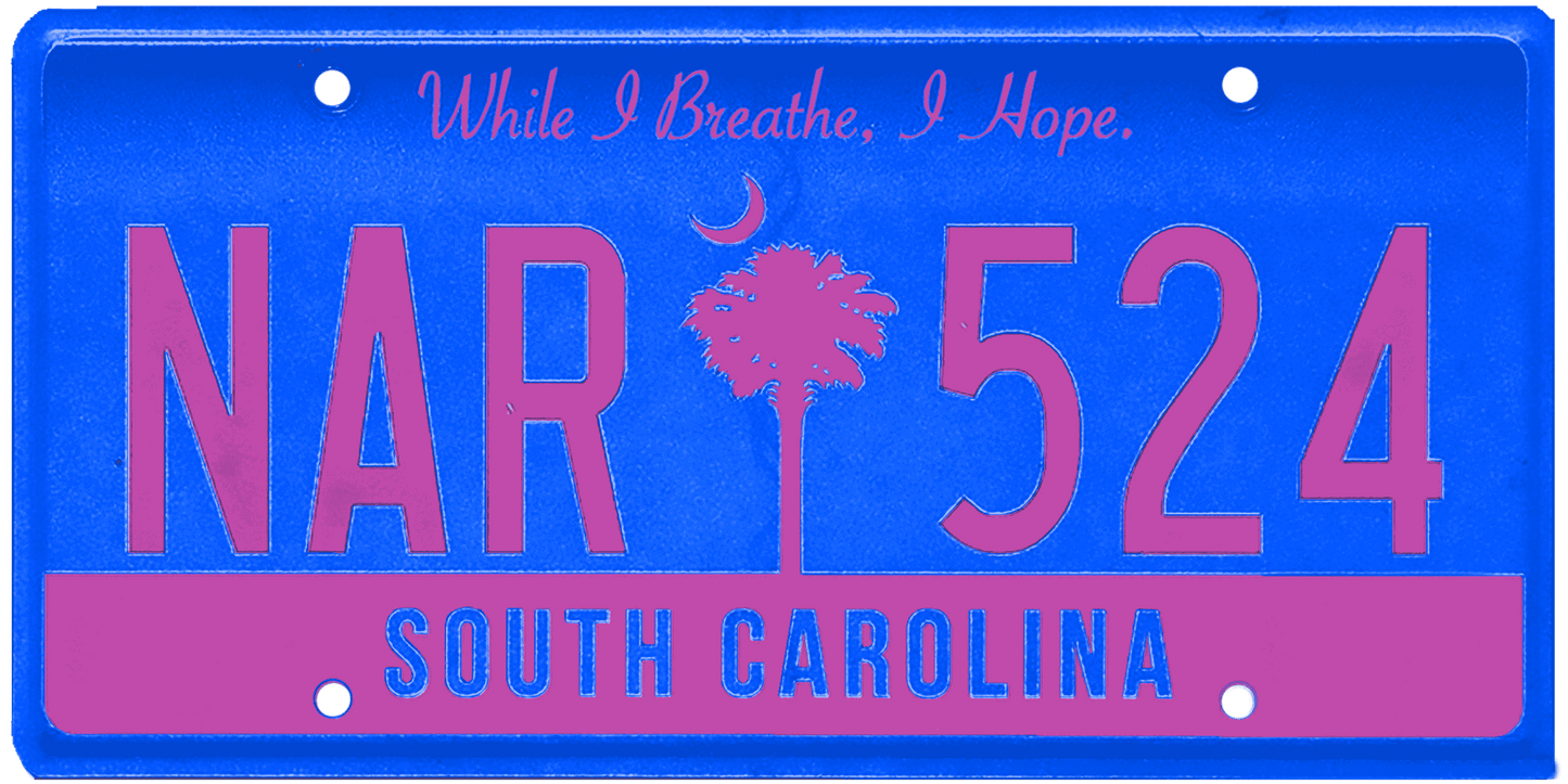 South Carolina License Plate Wrap Kit