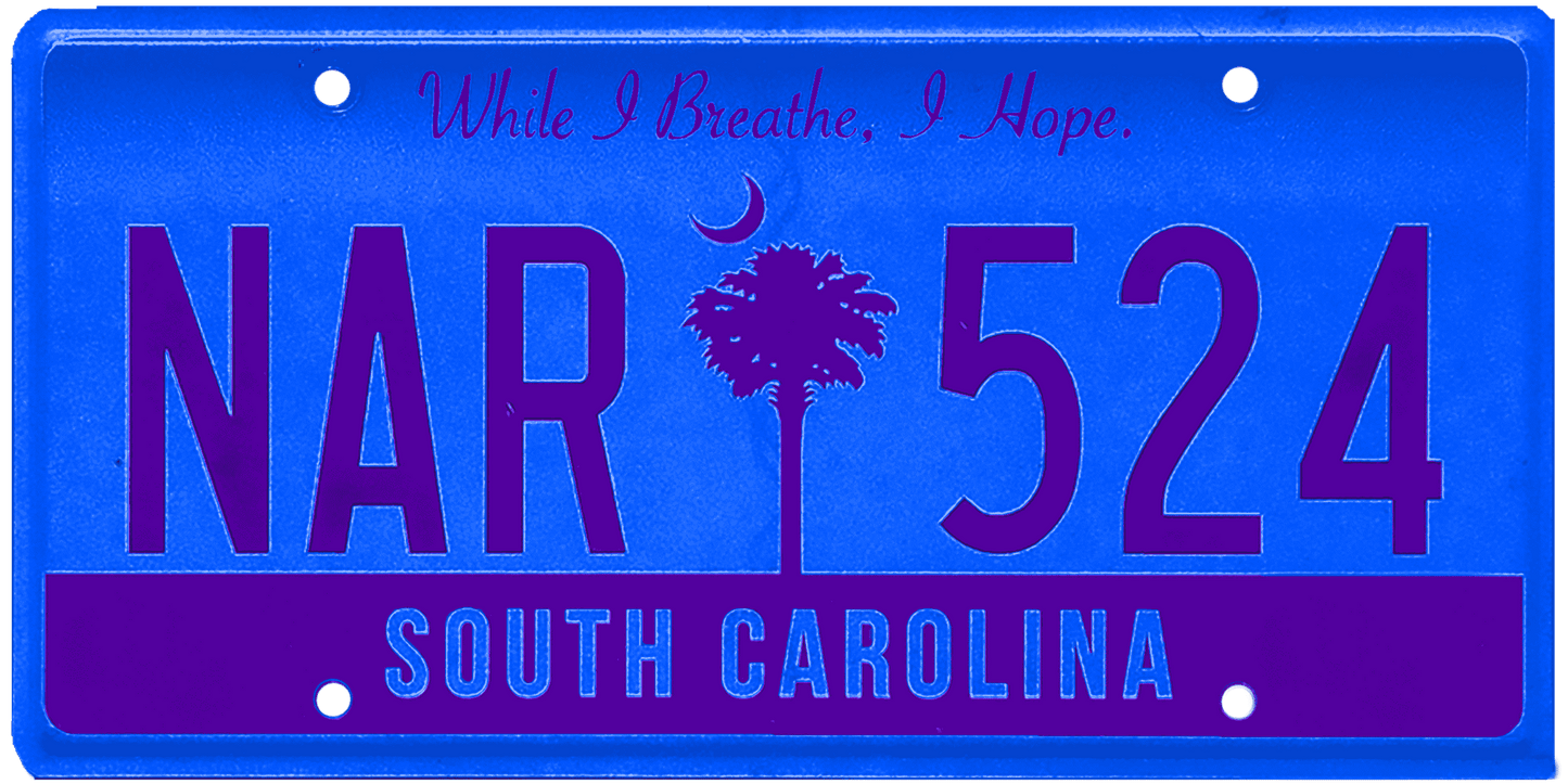 South Carolina License Plate Wrap Kit