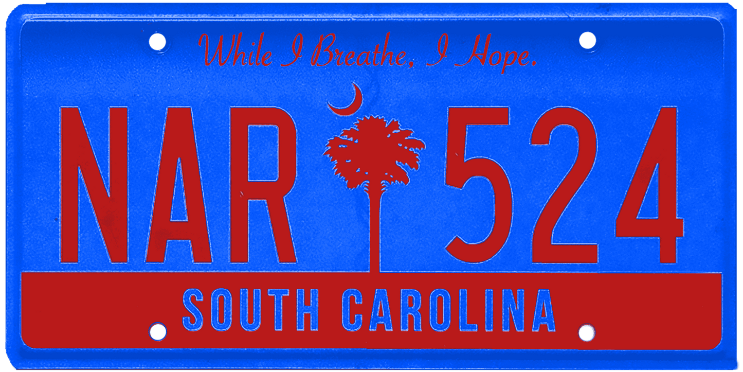 South Carolina License Plate Wrap Kit