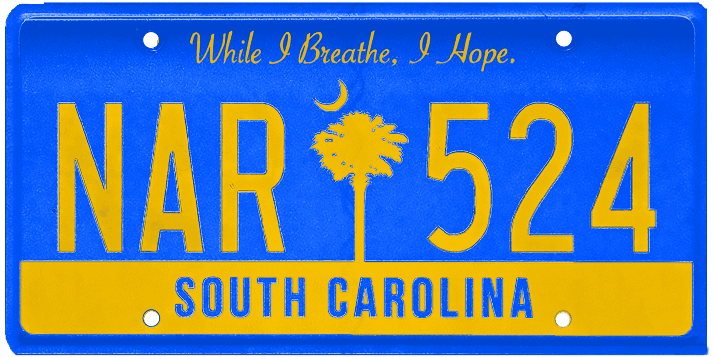 South Carolina License Plate Wrap Kit