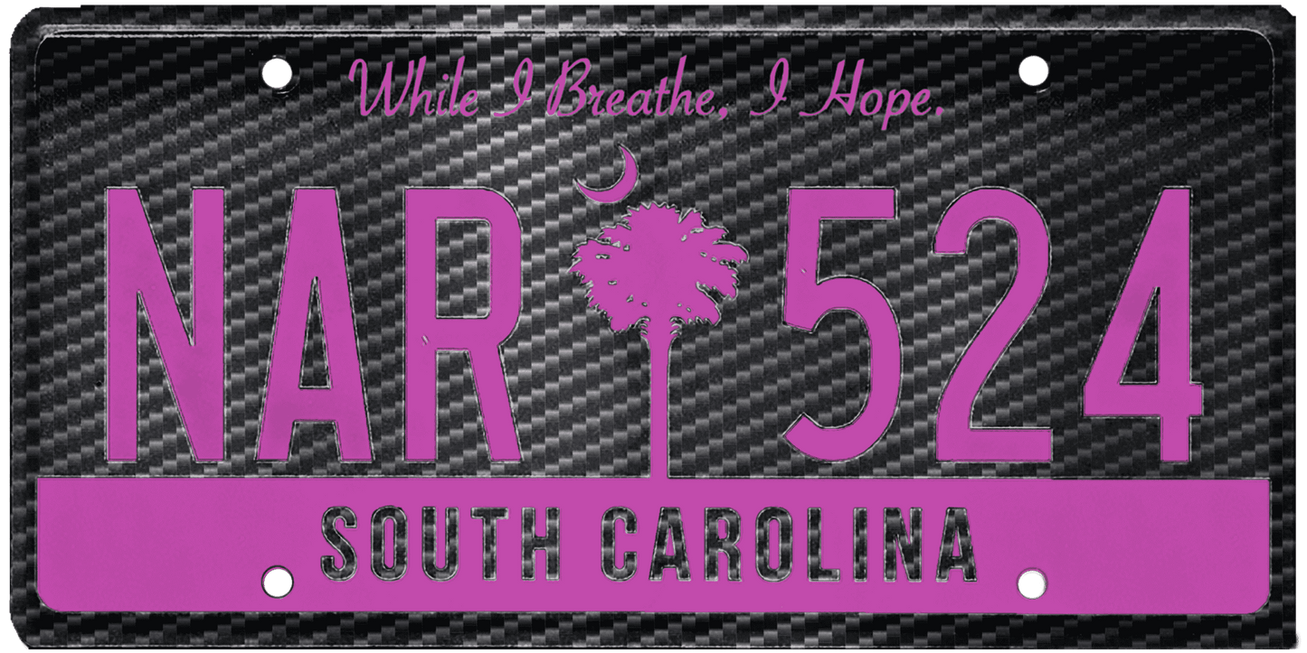 South Carolina License Plate Wrap Kit