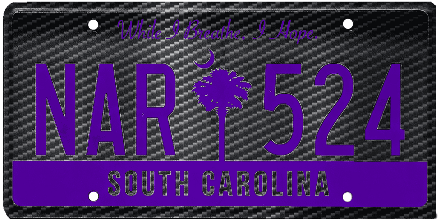 South Carolina License Plate Wrap Kit