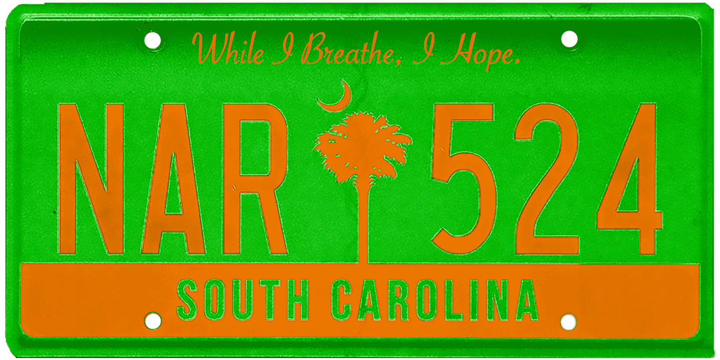 South Carolina License Plate Wrap Kit