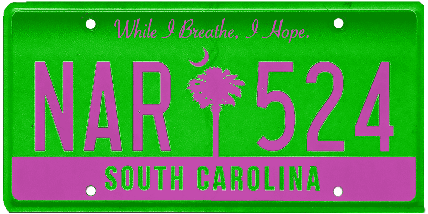 South Carolina License Plate Wrap Kit