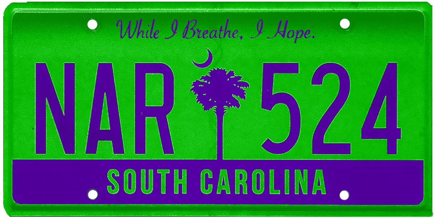 South Carolina License Plate Wrap Kit