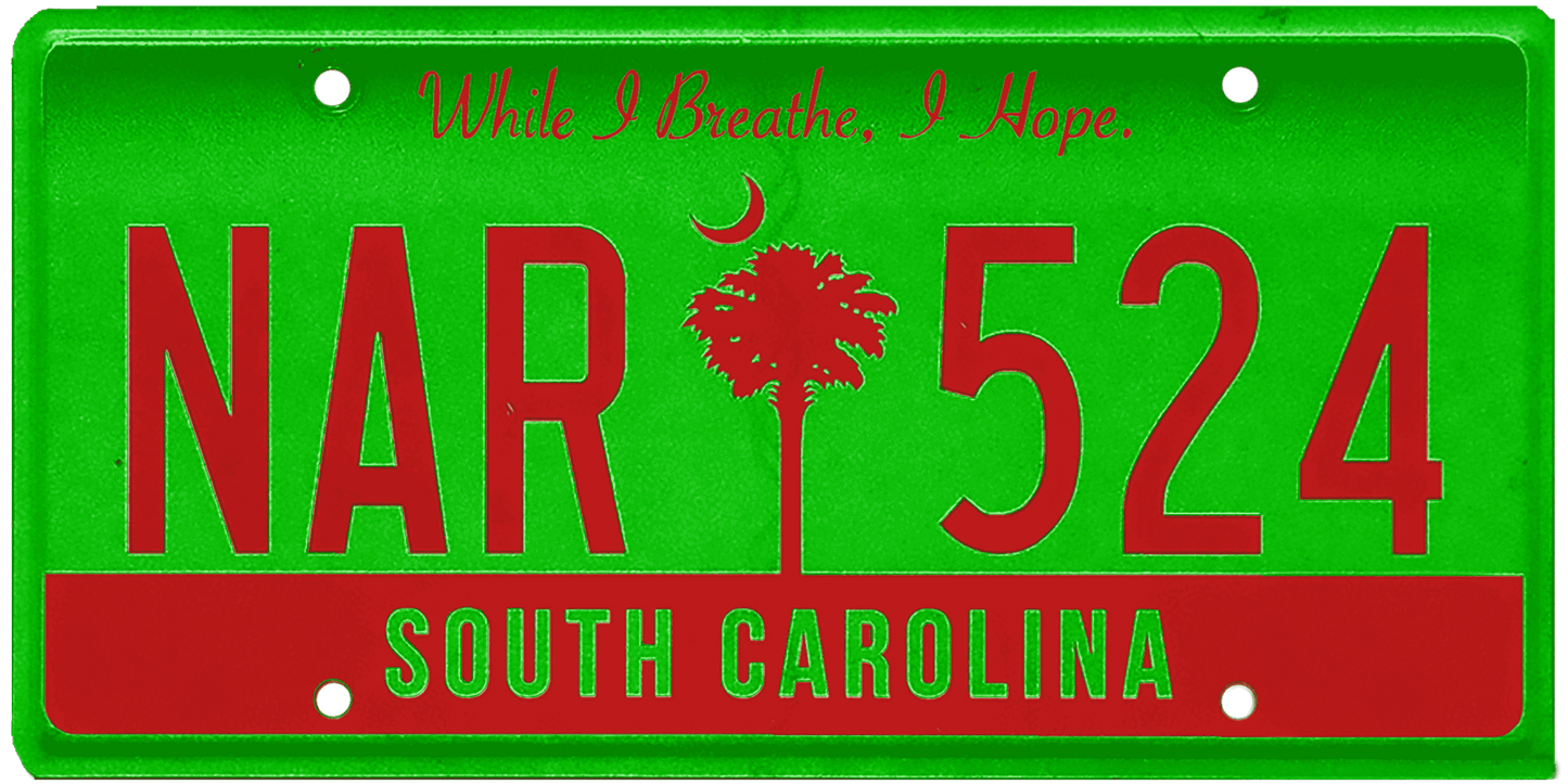 South Carolina License Plate Wrap Kit