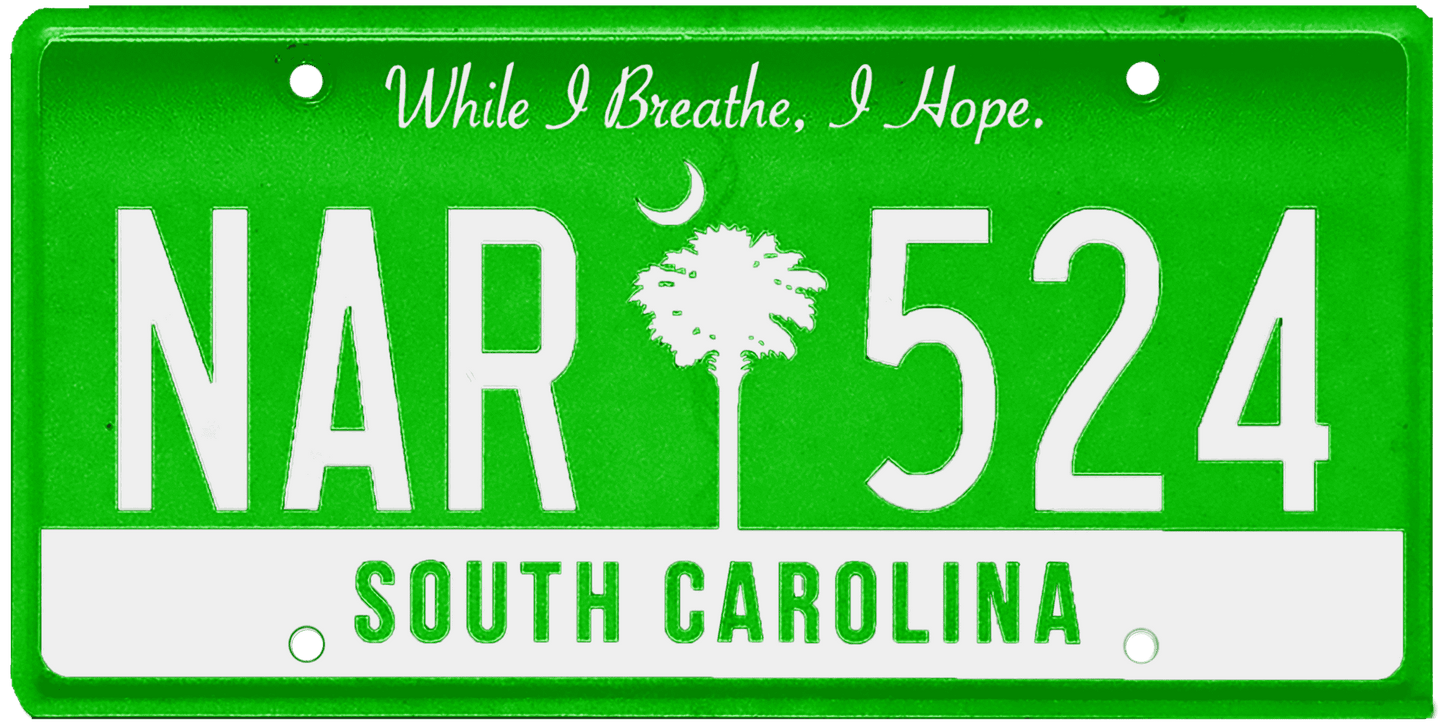 South Carolina License Plate Wrap Kit