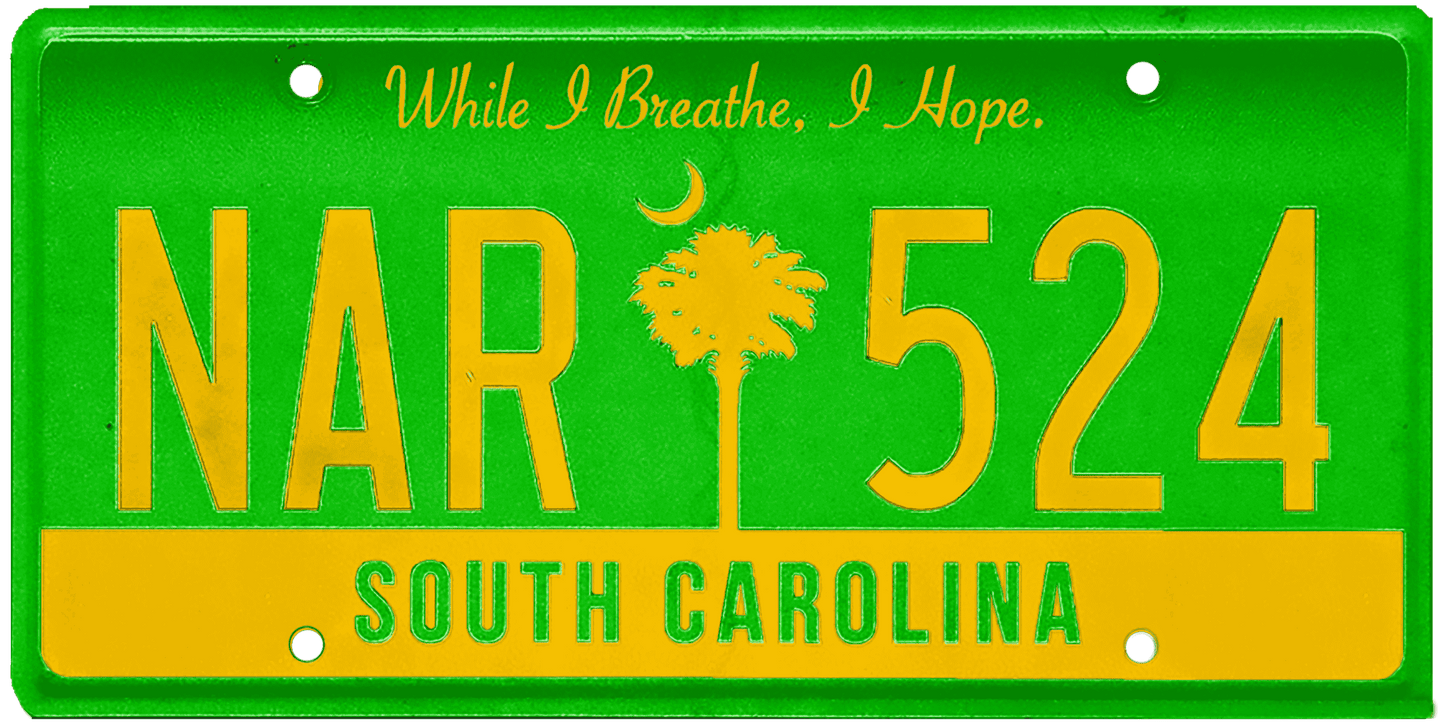 South Carolina License Plate Wrap Kit