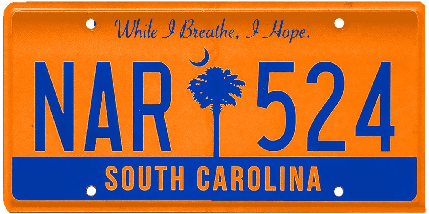 South Carolina License Plate Wrap Kit