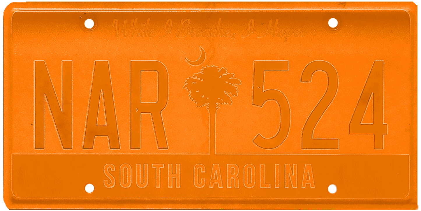 South Carolina License Plate Wrap Kit