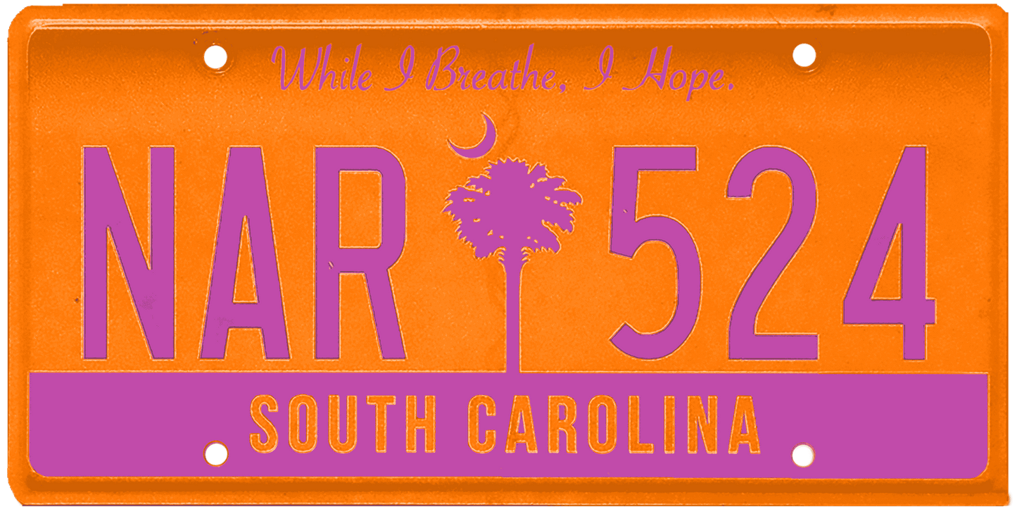 South Carolina License Plate Wrap Kit