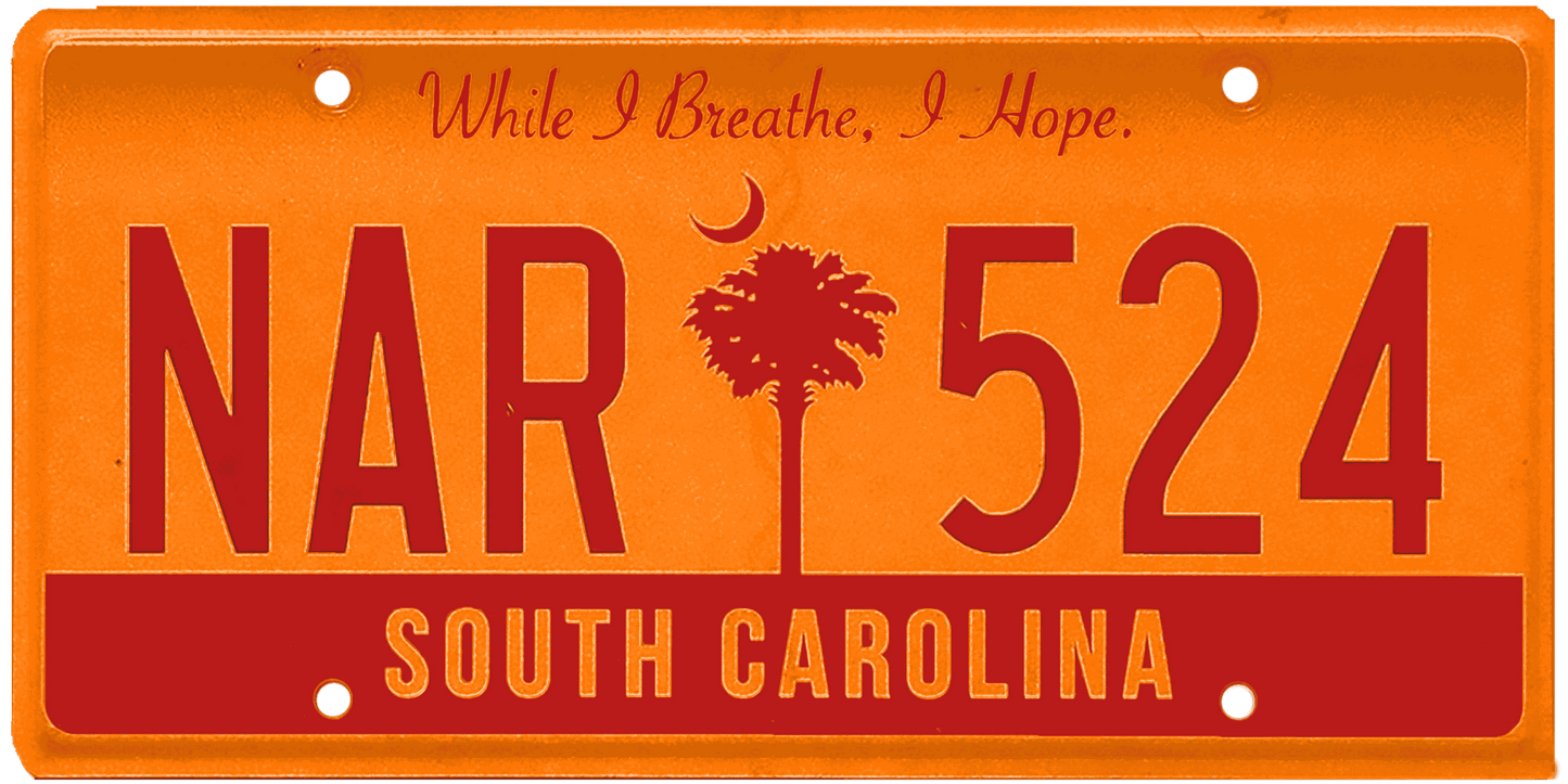 South Carolina License Plate Wrap Kit