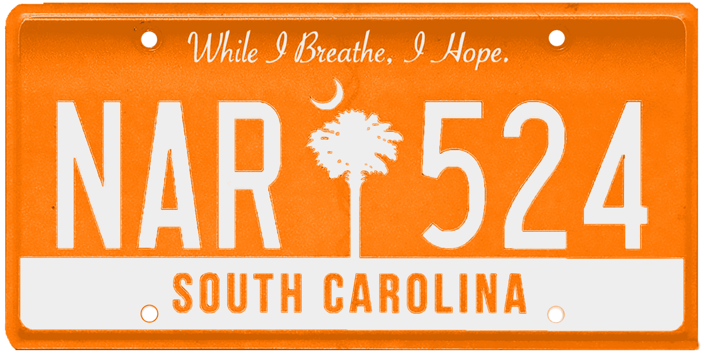 South Carolina License Plate Wrap Kit