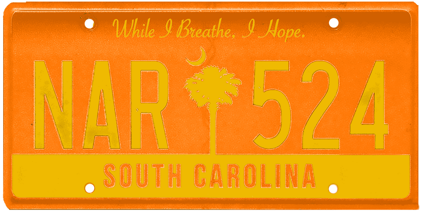 South Carolina License Plate Wrap Kit