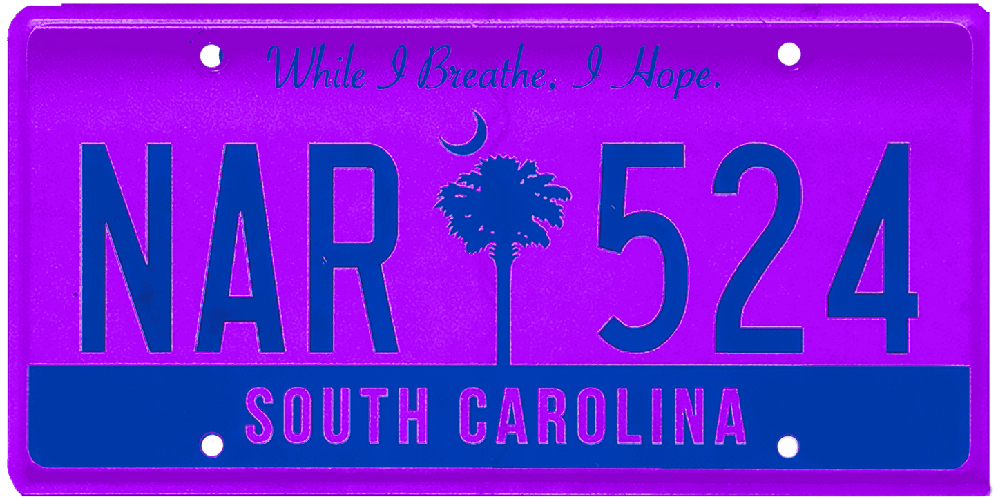 South Carolina License Plate Wrap Kit