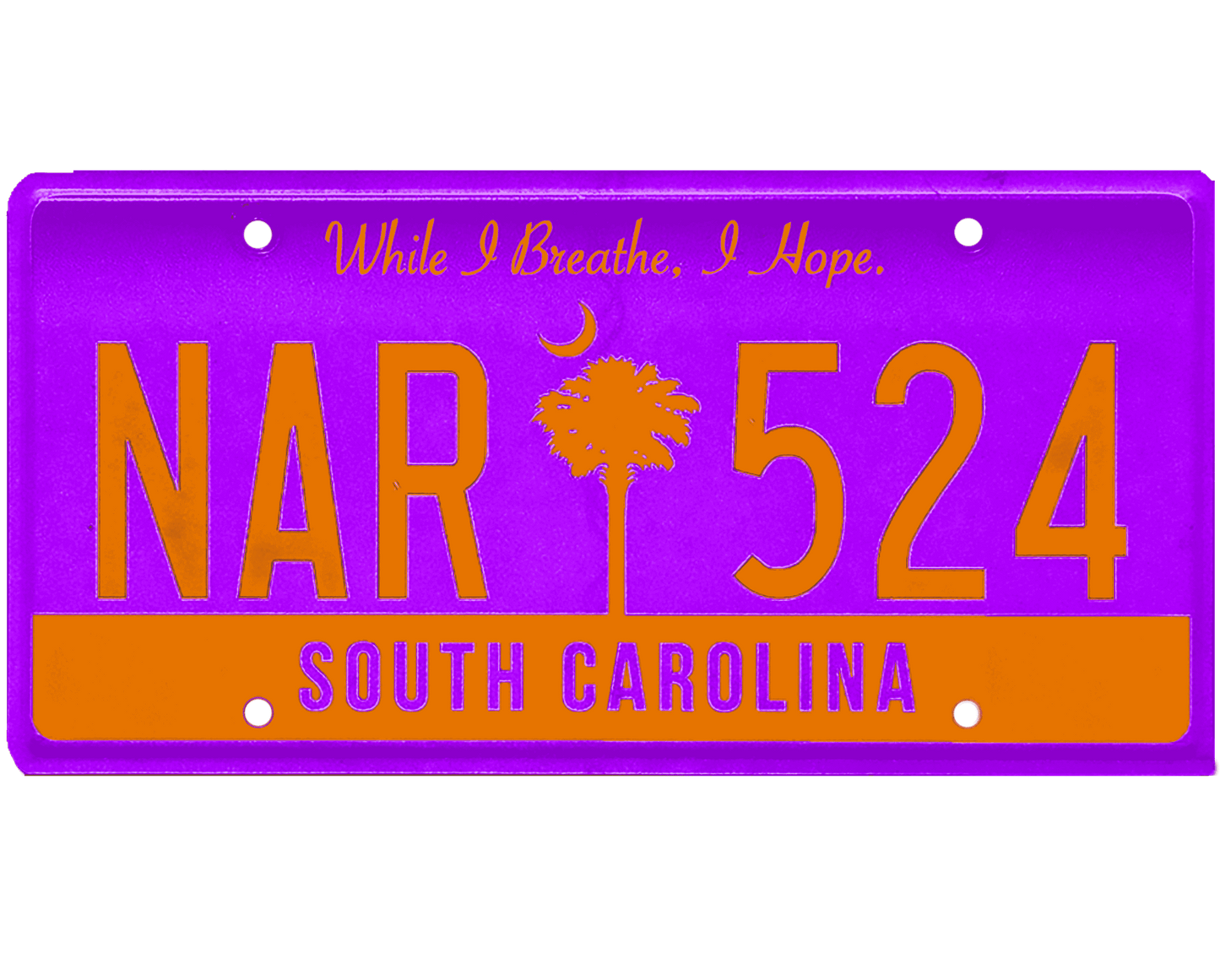 South Carolina License Plate Wrap Kit