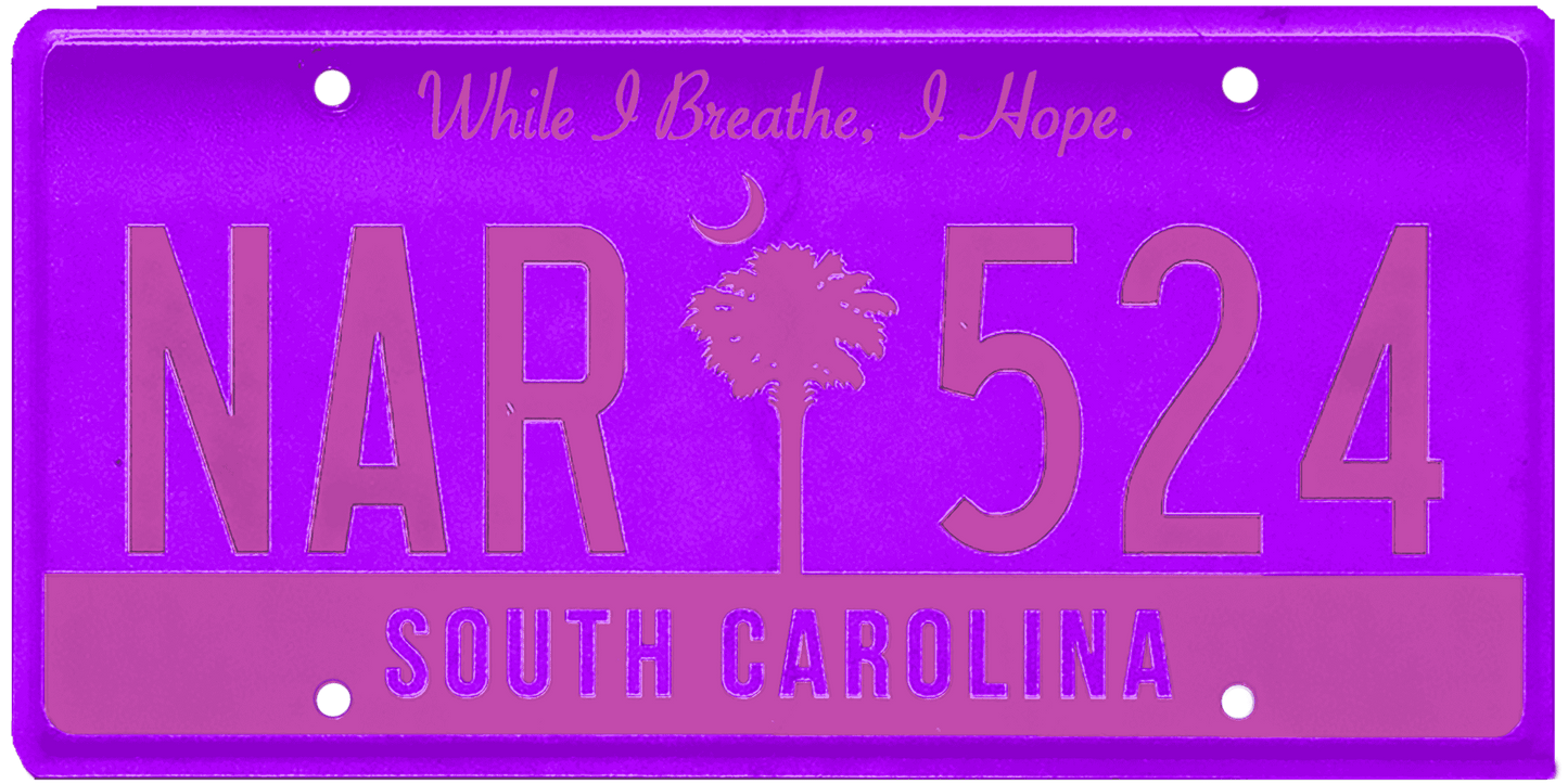 South Carolina License Plate Wrap Kit